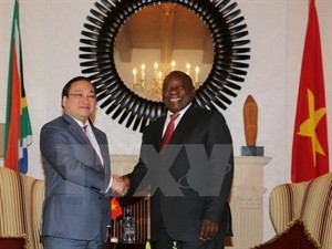 Vietnam, South Africa step up cooperation - ảnh 1